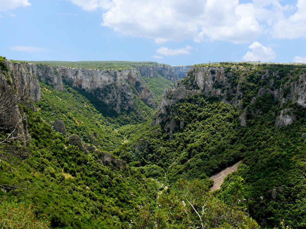 Oasi LIPU Gravina di Laterza (TA), un lungo e profondo canyon incluso nel Parco Regionale Terra delle Gravine